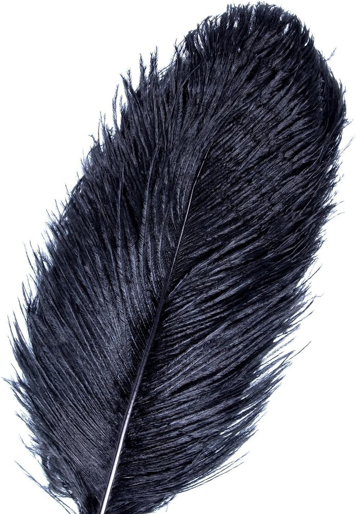 AWAYTR 18-20in Ostrich Feathers (49pcs, Black)
