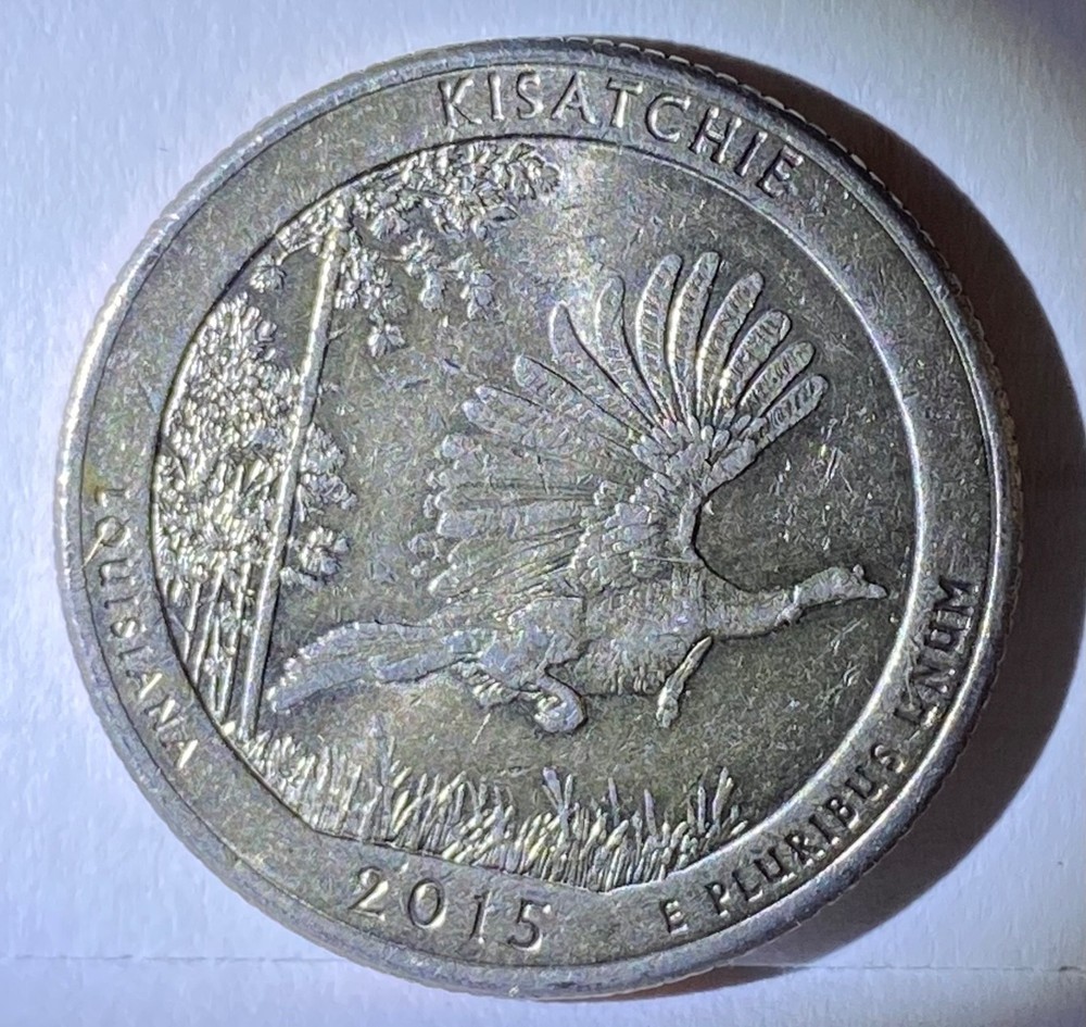 2015 Kisatchie Quarter D