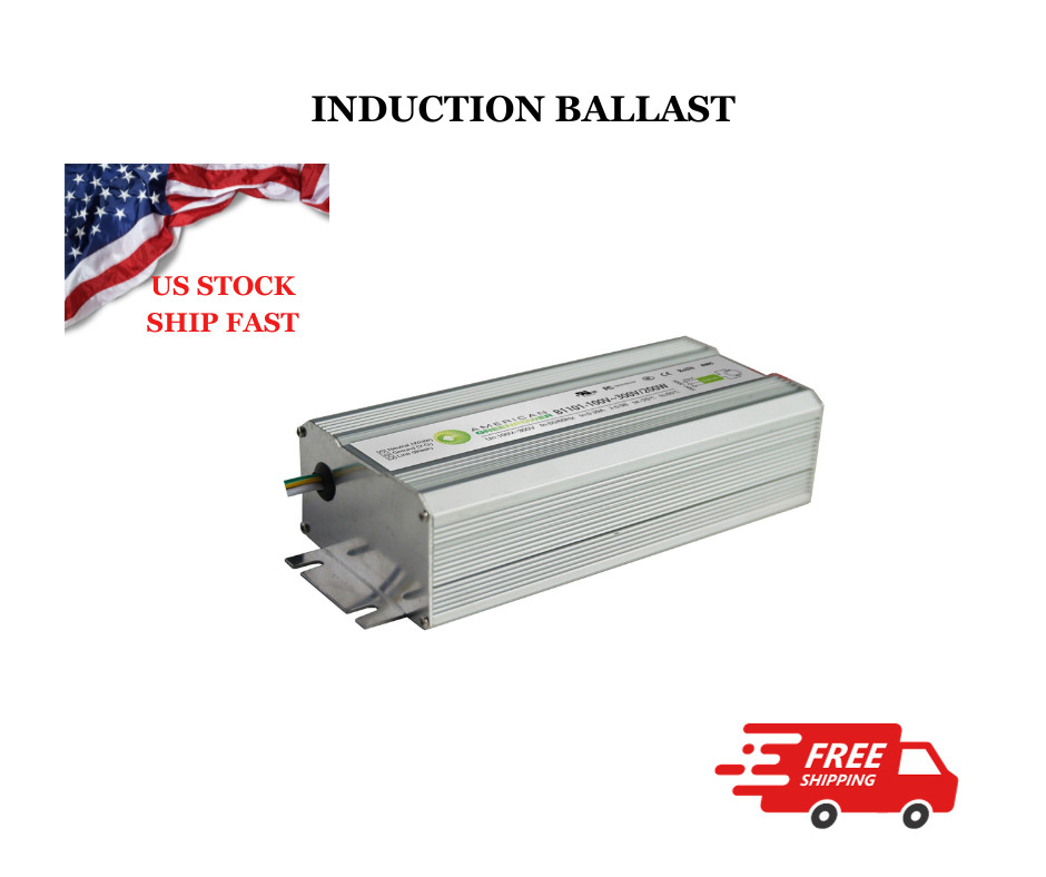 24W Induction Lamp Ballast