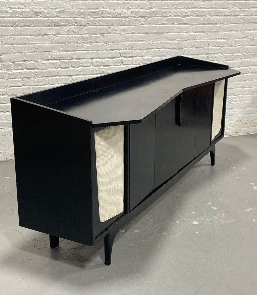 Extra Long Ebonized Mid Century Modern Stereo Cabinet / Credenza | Sideboard