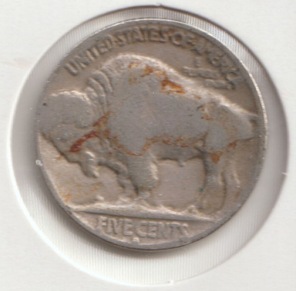 1934-D Buffalo Nickel