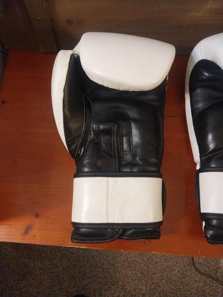 Daniel Gracie 16oz gloves