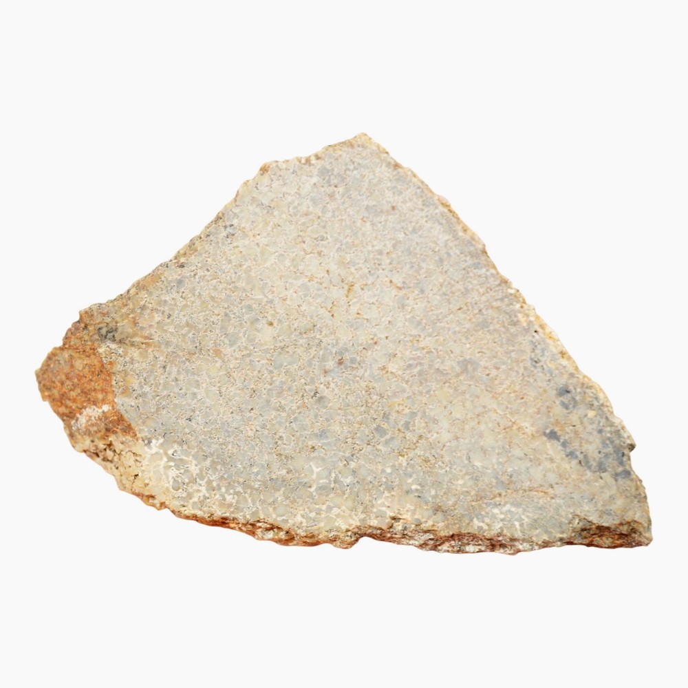 Gem Dinosaur Bone Slab - Well-Defined Cell Pattern