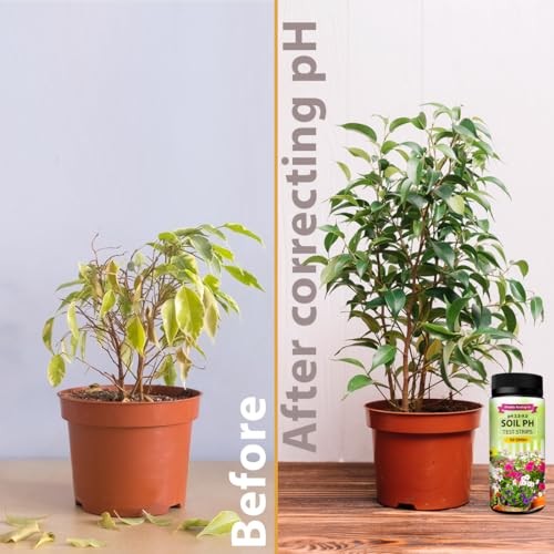 Soil pH Paper Test Kit – 100 Tester Strips (3.5-9 Range) – Use for Testing