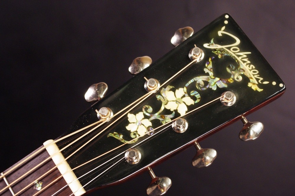 Johnson Guitars JO26