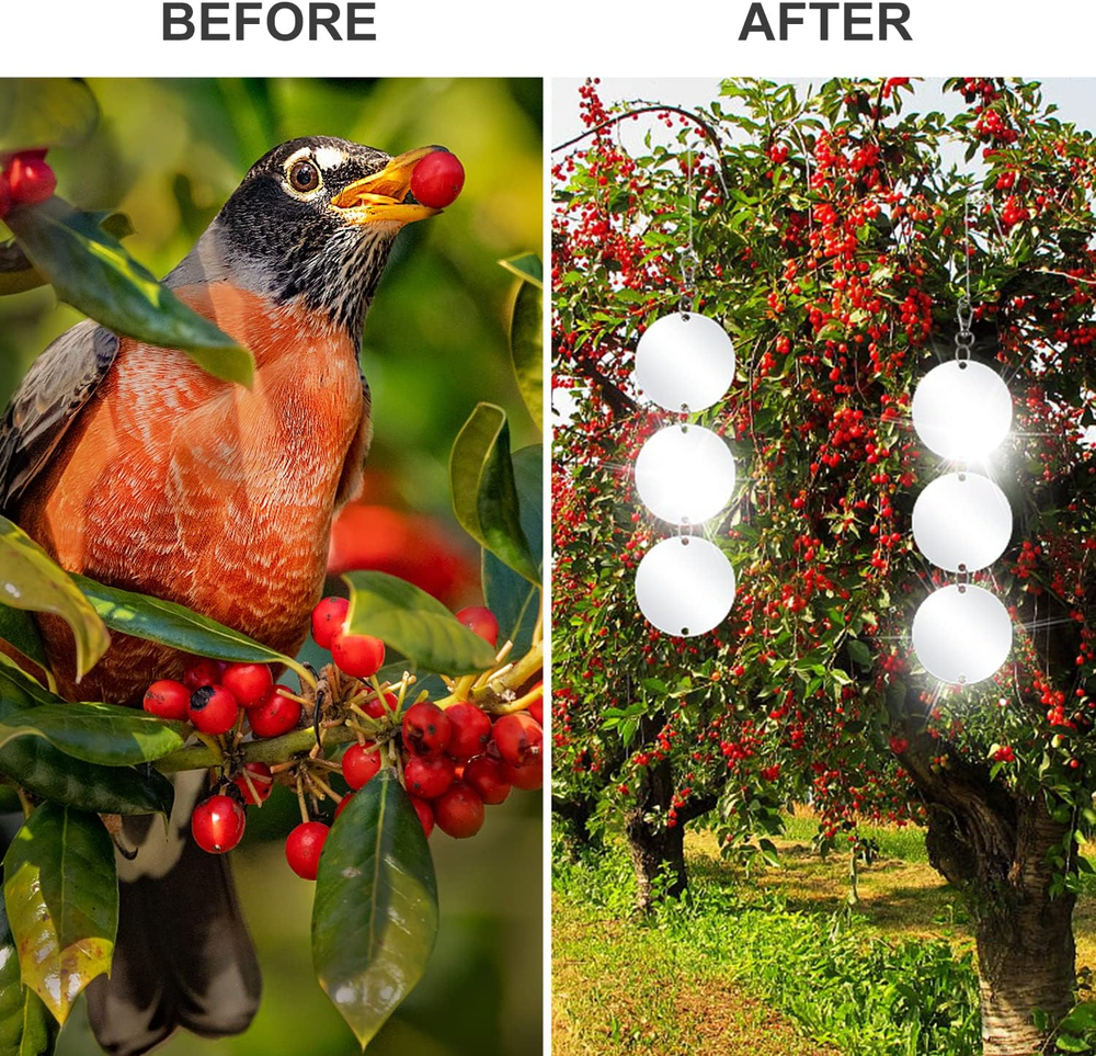 30 Pcs Bird Scare Discs -Highly Reflective Double-Sided Reflectors Upgraded Disc