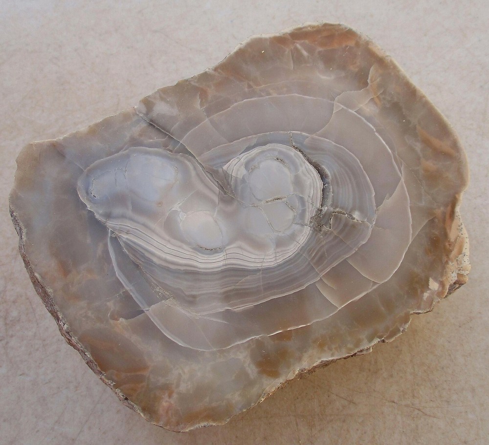 Champagne Agate Face Polished Piece for Display or Rough