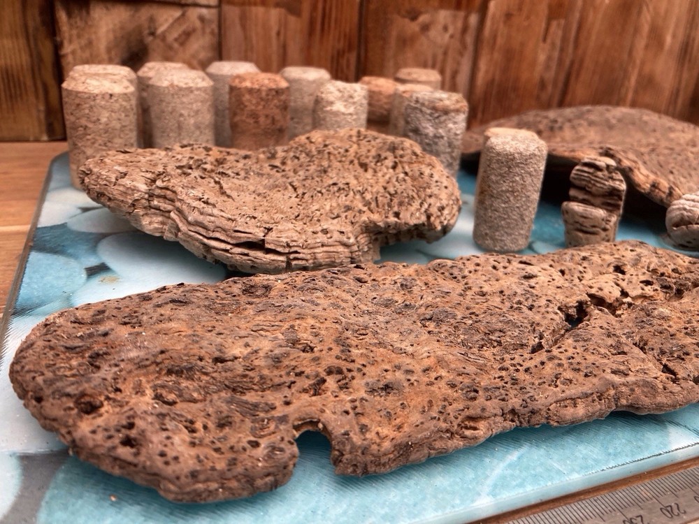 Tropical Driftwood and Cork pieces