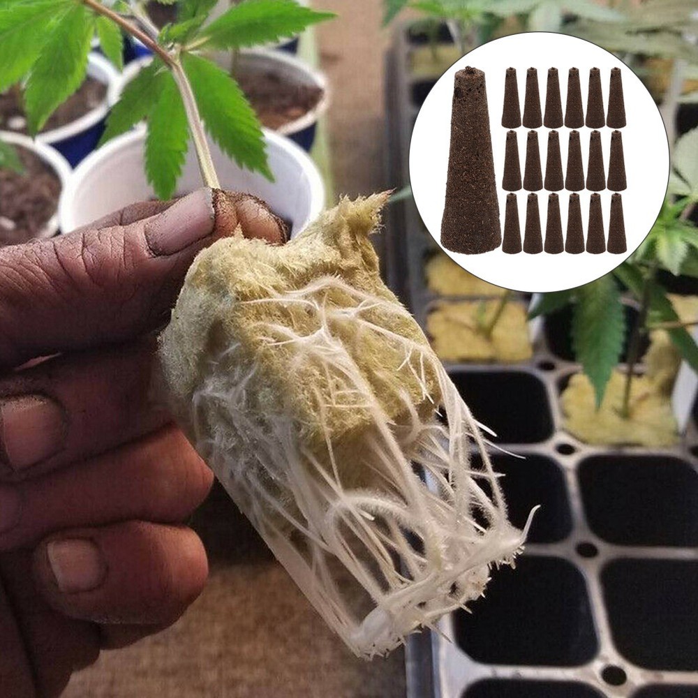 50 Pcs Vegetable Sprout Sponge Grow Sponges Hydroponic Sponge Peat