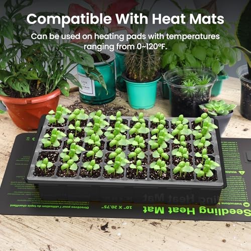 Seed Starter Tray with Lights, 2 Packs Mini 40-Cell 2-Pack With Light Black