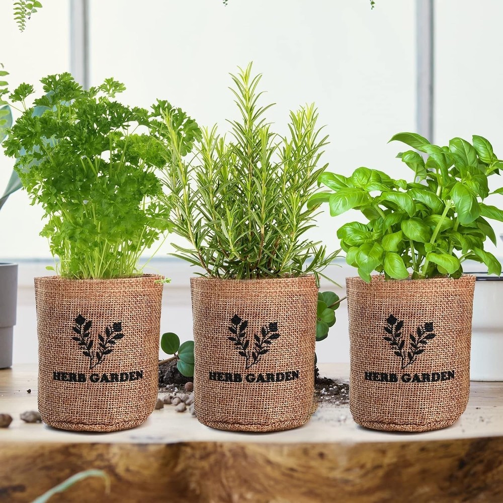 Indoor Herb Grow Kit 5 Seeds Garden Starter Kit