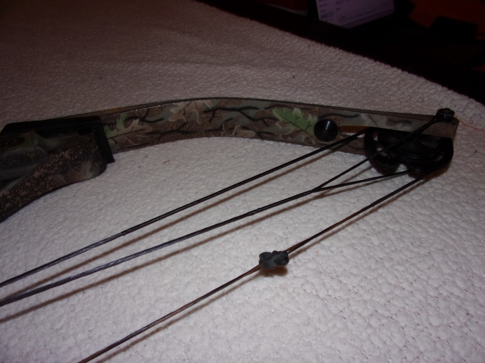 Hoyt Raptor Excel Compound Bow