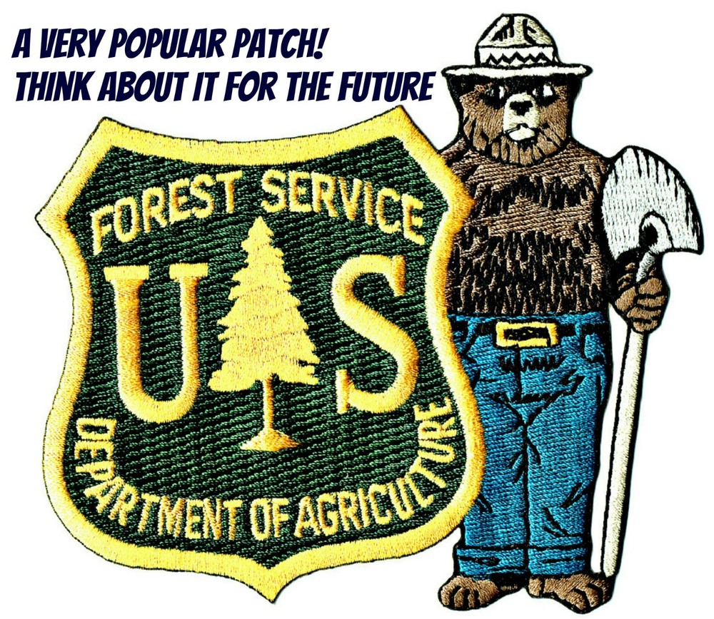 ⫸ The Real OFFICIAL SMOKEY BEAR 'KEEP IT GREEN' Embroidered Bright Patch - NEW