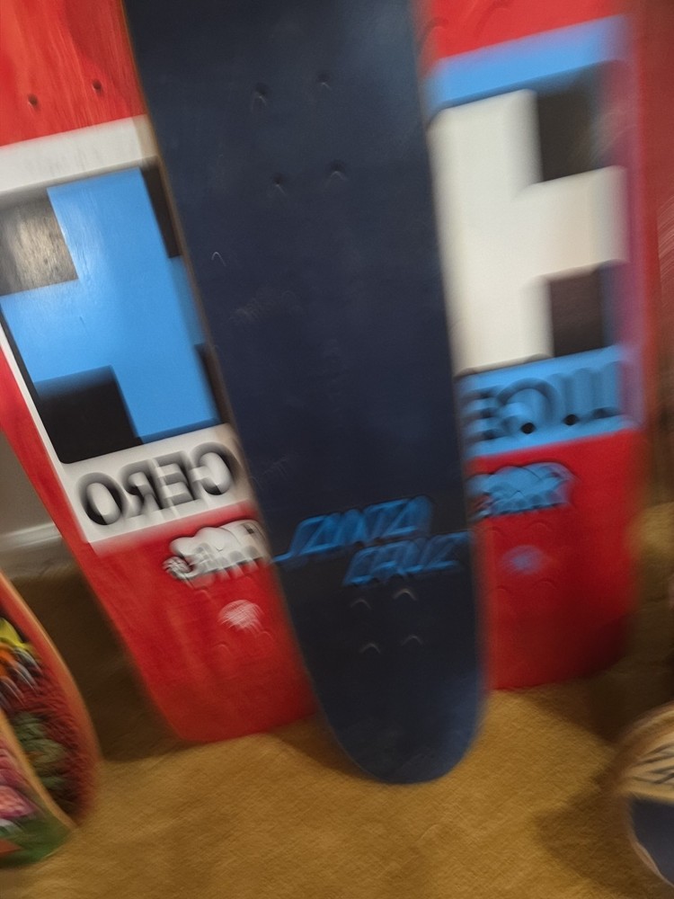 Santa Cruz Everslick
