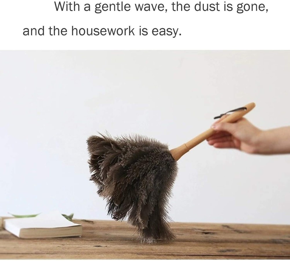 Genuine Ostrich Feather Duster with Wooden Handle