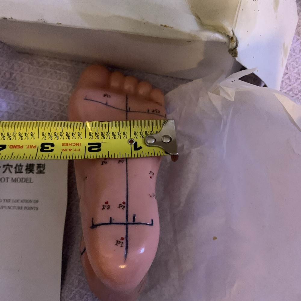 Human Acupuncture Foot Teaching Learning Model Tool 13 Cm English Version