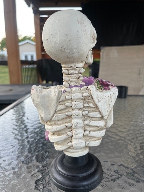9 inch Skeleton Skull Figurine Statue
