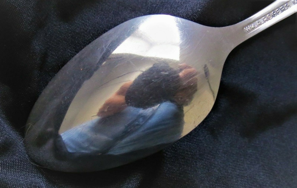 W. A Rogers AA ~ Brittany Rose (1948 Pattern) Teaspoon: SHIPS FREE & INSURED
