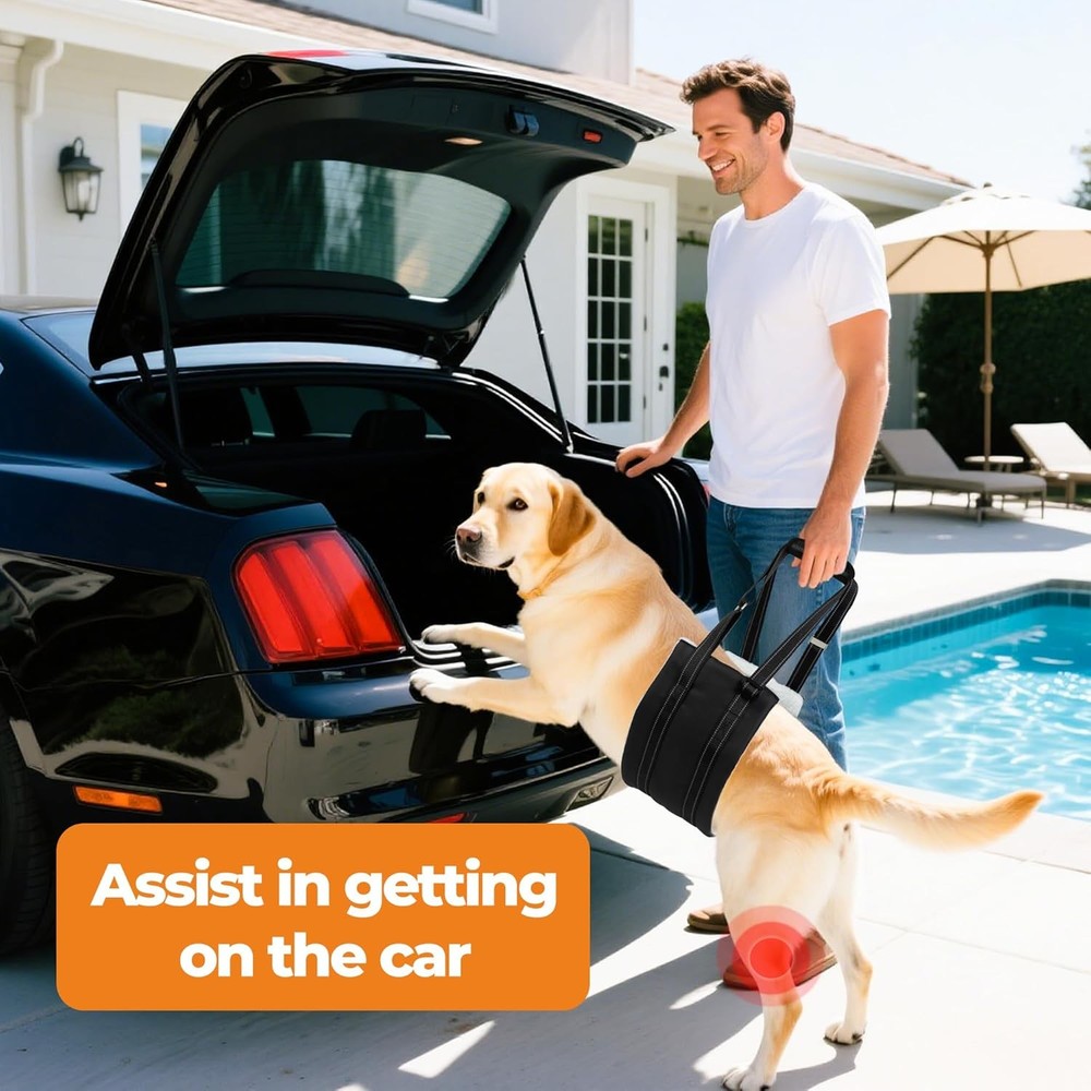 Dog Lift Harness, Adjustable Comfortable Sling with Handle for M, Black