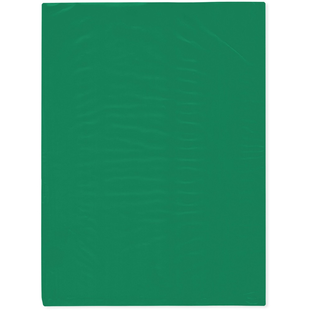 Plymor 9" x 12", Green 2 Mil Flat Open Plastic Poly Bags