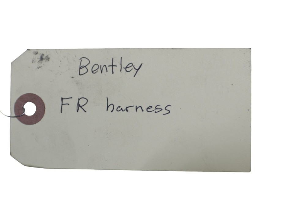 Bentley Flying Spur Front Right Wire Harness Section Assembly 2014 - 2018 OEM