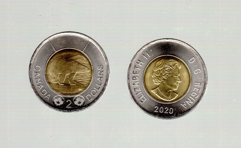 2020 POLAR BEAR DESIGN TOONIE  MUST S@@!!!!!