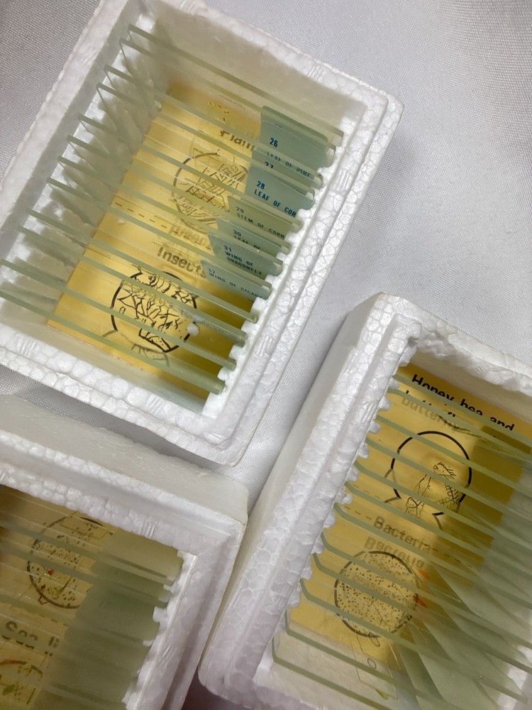 Sears Prepared Microscope Slides Set 36 Specimens Science Education Lab Kit