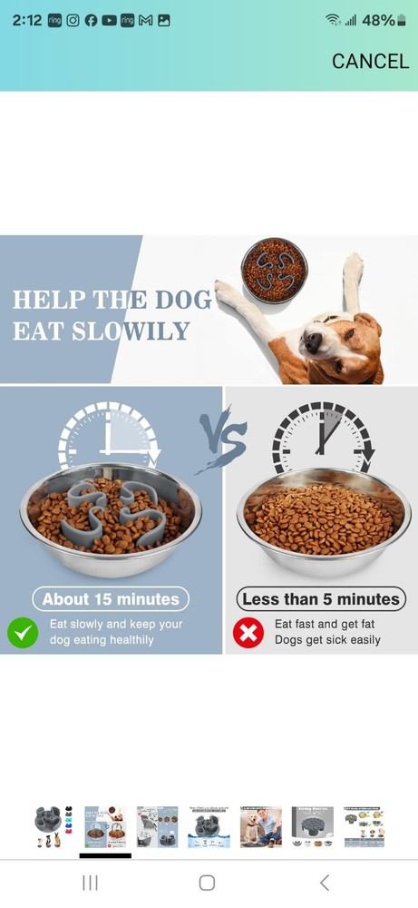 Silicone dog slow down eater
