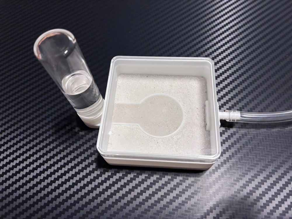 Ant Nest (Read Description)