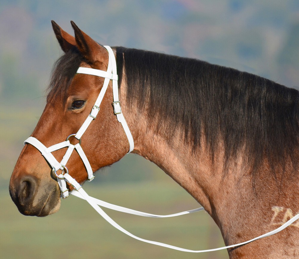 PONY SIZE Any Color SIDEPULL Bitless BRIDLE & REINS made w Beta Biothane