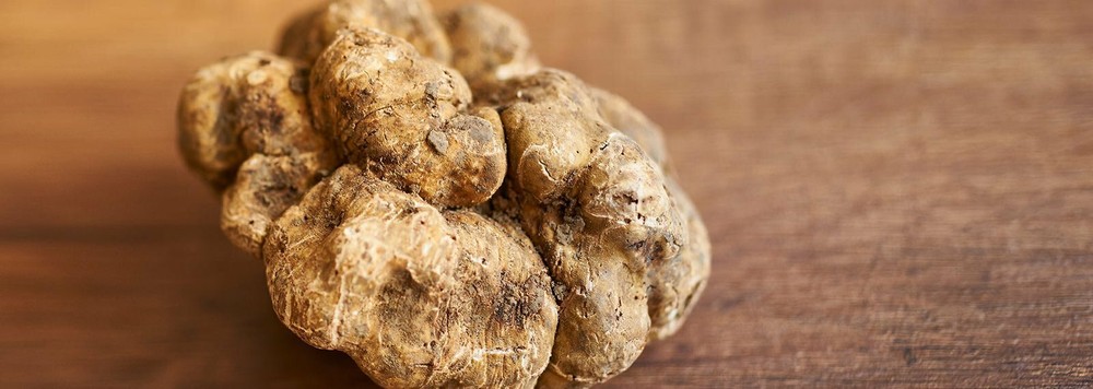 White Truffle Extra Virgin Olive Oil 8.5oz / 250ml