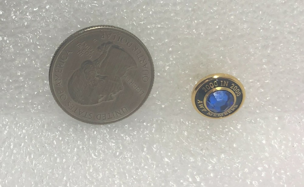 2000 In 2000 AWP Members Pin