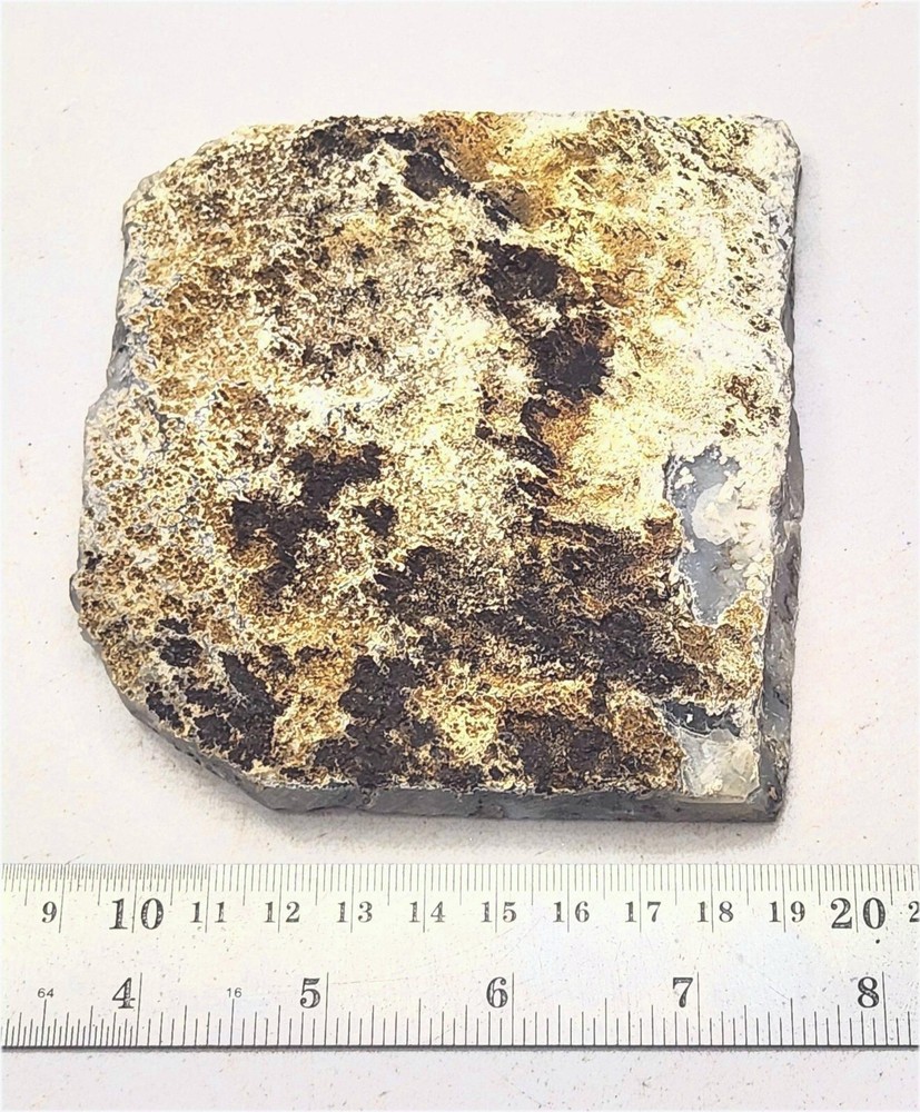 Graveyard Point Plume Agate Large Slab for Cab Cutting Rough