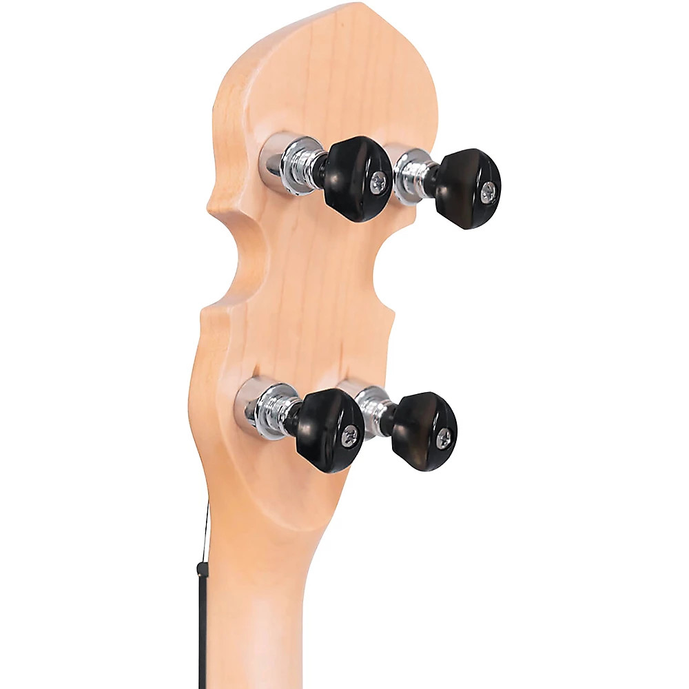 EB-5 Electric Banjo