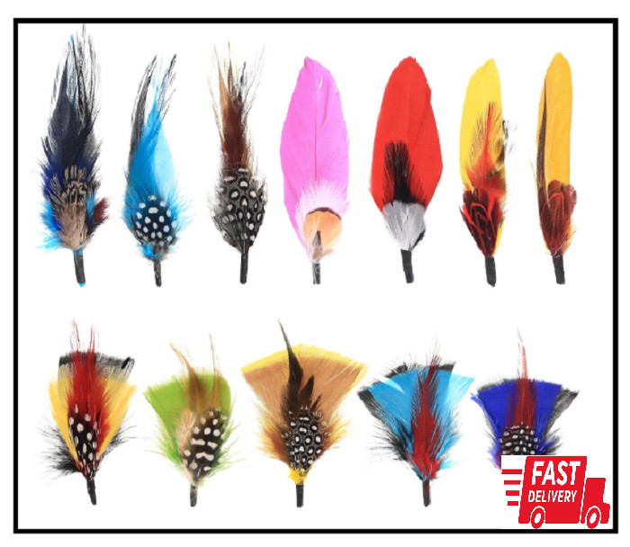 Hat Feathers, 12 Pcs Natural Feathers, Mixed Assorted Cowboy Hats Feathers, Craf