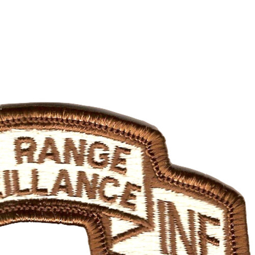 74th LRS Infantry Desert Patch