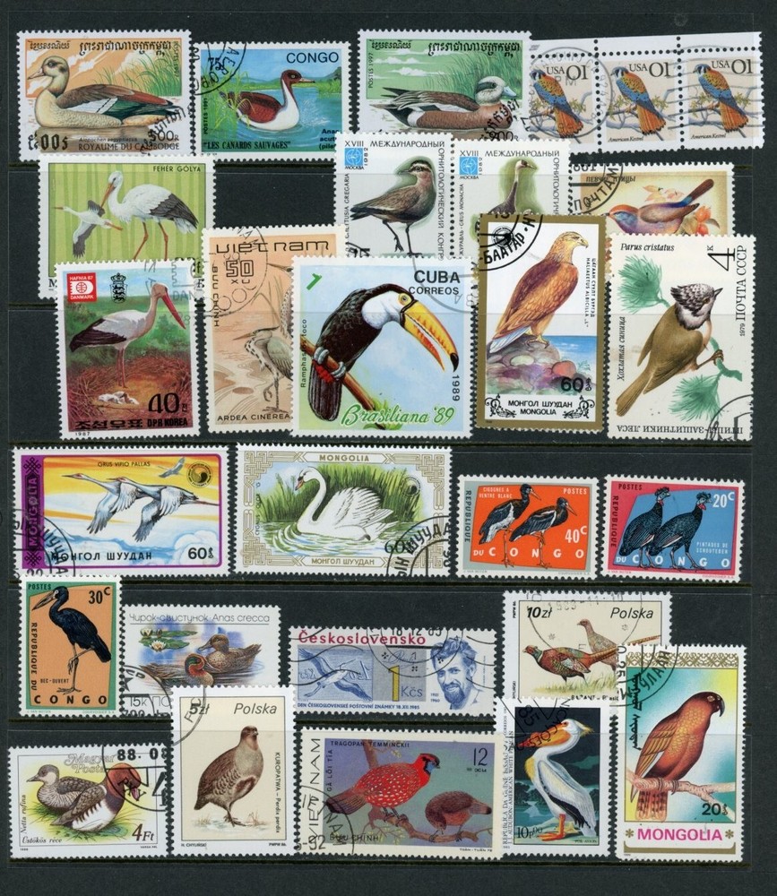 BIRDS  / 24-11-4g  /   used