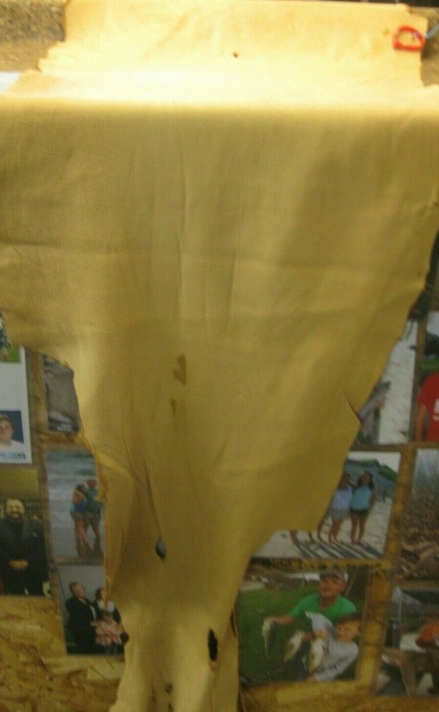 `Top Grain Buffalo Leather #0011397 Row 119