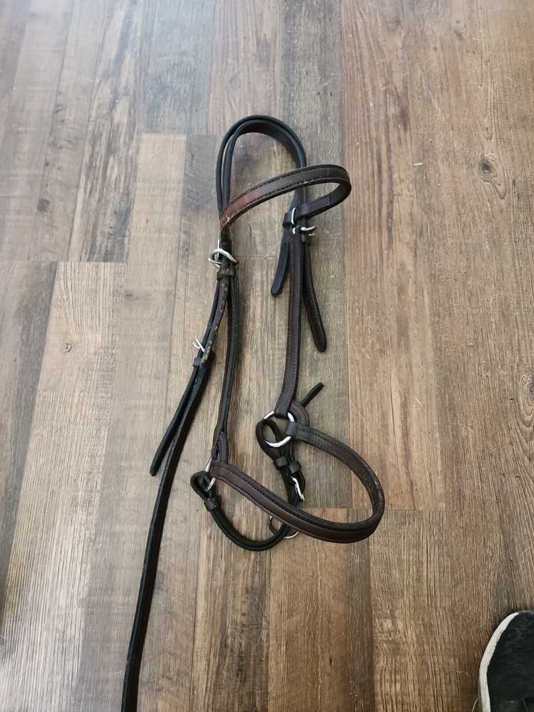 Leather Show Halter With Nose Band