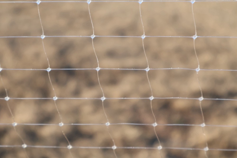 SOD BIG-ROLL NETTING $210