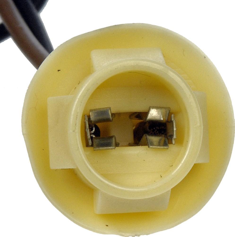 Side Marker Light Socket-License Lamp Socket Dorman 85814
