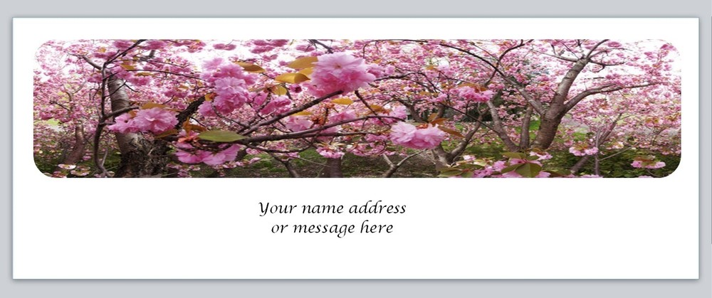 Personalized Address Labels Cherry Blossoms (C 756)
