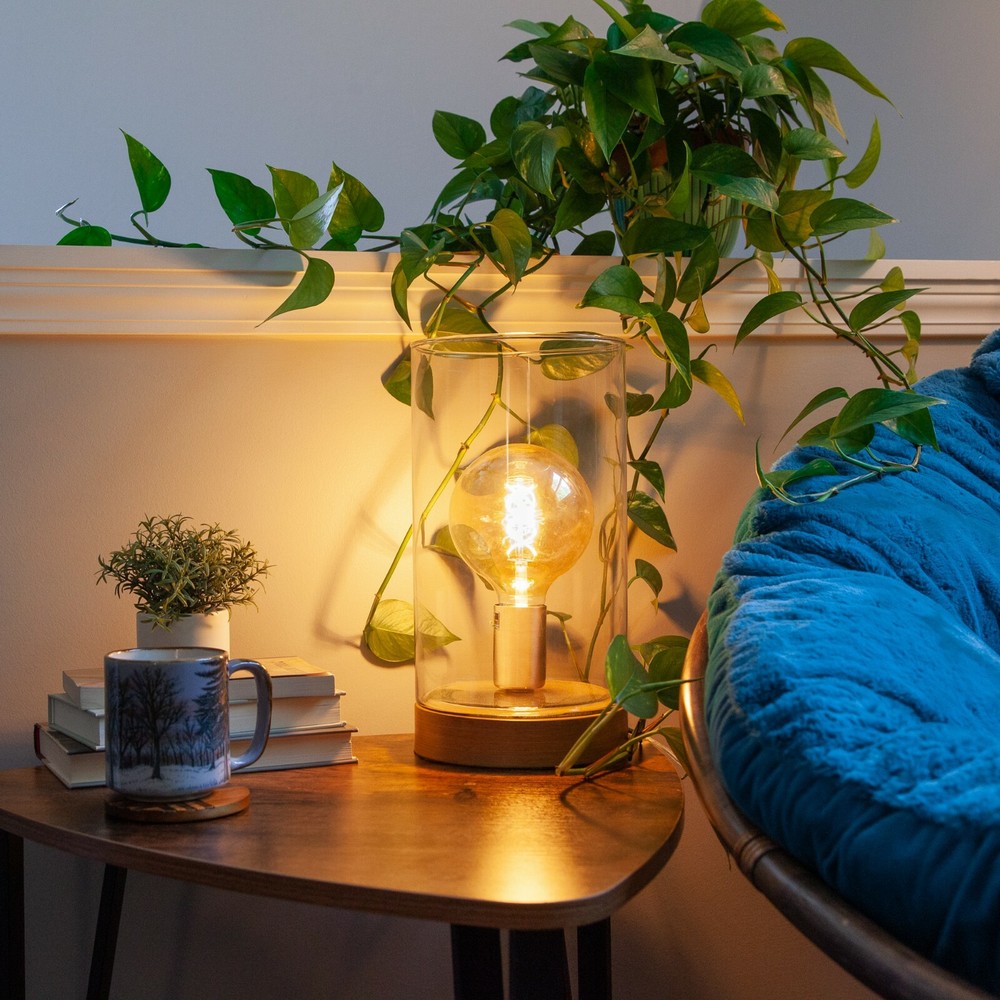 LED Filament Edison Light Bulbs Vintage Retro Dimmable Globe Patio Yard Lighting