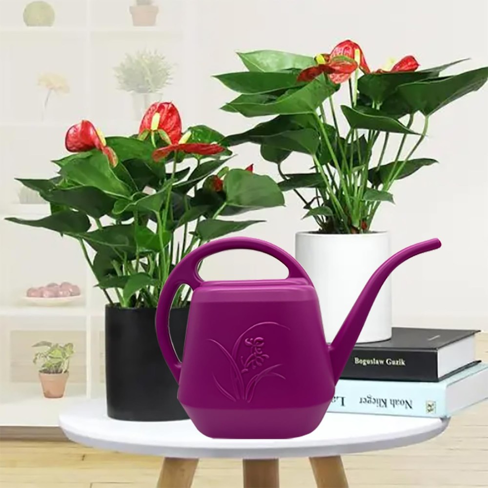 Plant Watering Can 1/2 Gallon Rose Red