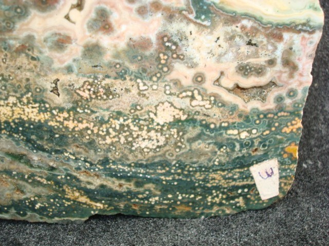 ocean jasper slab