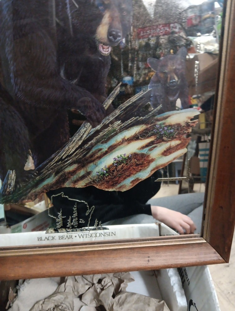 Miller High Life Black Bear Wisconsin Beer Mirror