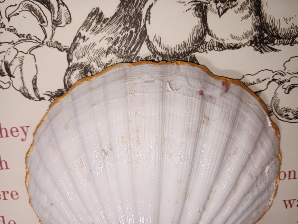 Handmade Shell Trinket Dish With Cardinal And Flowers