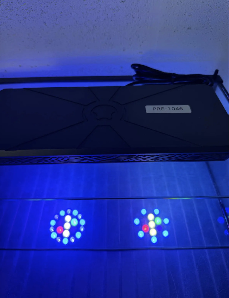 MicMol - Thor & X LED lighting (PRE-OWNED)