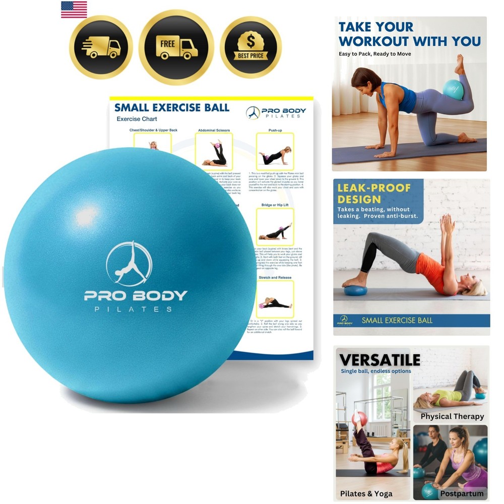 Ball 9 Inch - Small Exercise Ball for Stability, Barre, Core, Ab Workouts, Yo...