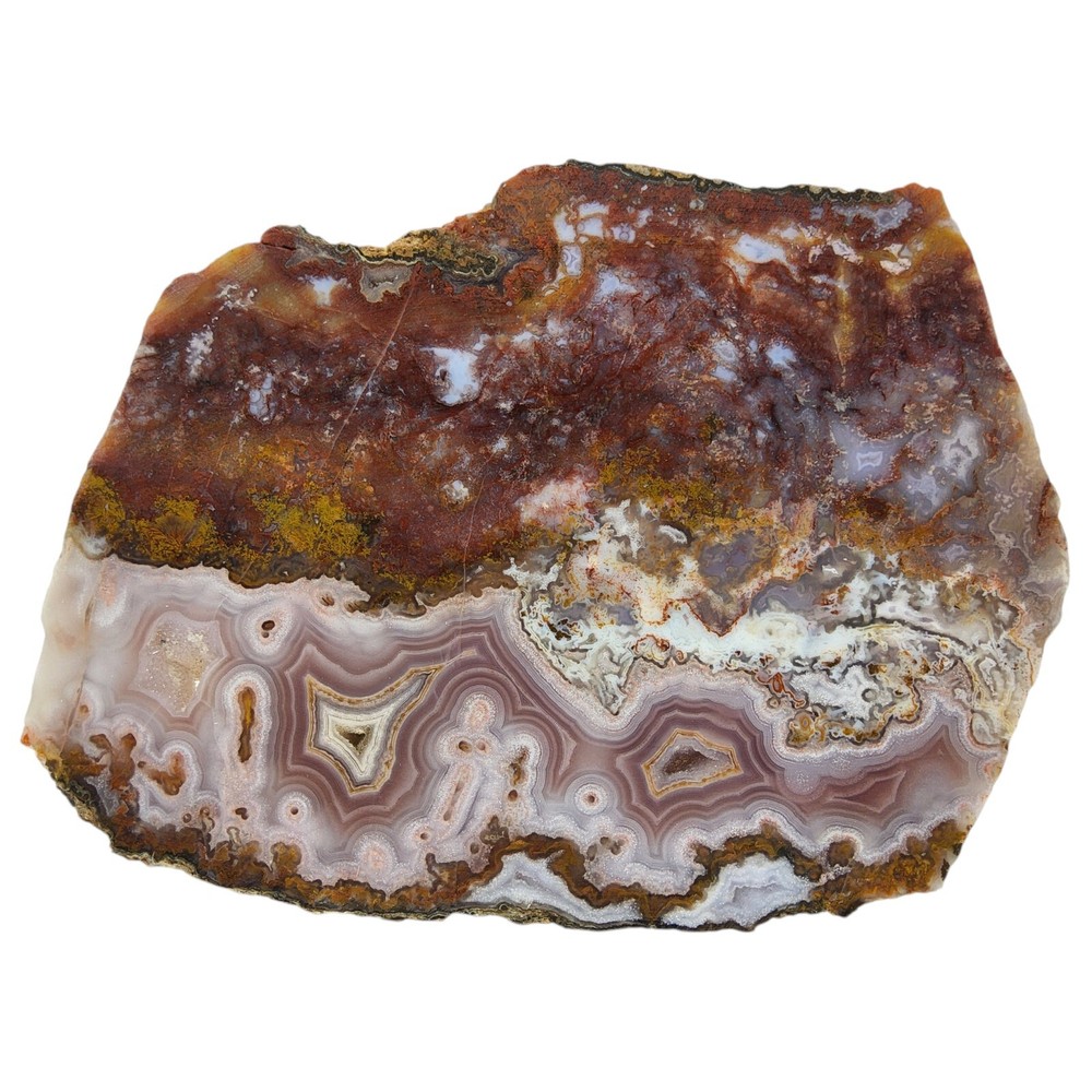 Moroccan Agate, slab, cabbing rough, lapidary, #R-6391